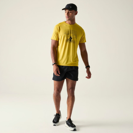 Herren-T-Shirt Dare 2b Tech II Tee