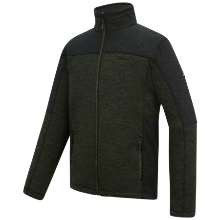 Herren-Sweatshirt Regatta Highton Full Zip Midlayer