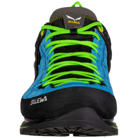 Herrenschuhe Salewa Ms Mtn Trainer 2 Gtx