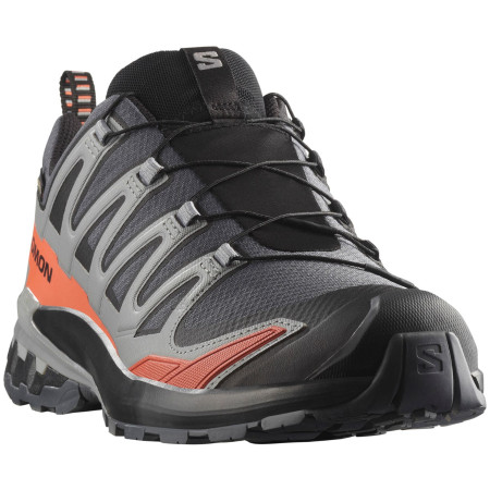 Wanderschuhe Salomon Xa Pro 3D V9 Gore-Tex