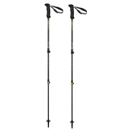 Trekkingstöcke Camp Backcountry Carbon 2.0