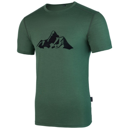 Herren-T-Shirt Warg Merino Mountain 165 Short grün Green