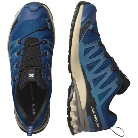 Wanderschuhe Salomon Xa Pro 3D V9 Gore-Tex