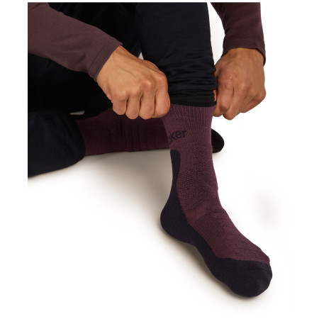 Socken Icebreaker Men Merino Hike+ Heavy Crew