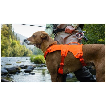 Hundegeschirr Ruffwear Web Master™ Harness