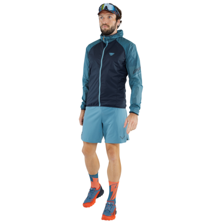 Herrenshorts Dynafit Alpine Shorts M