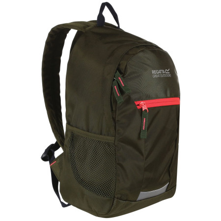Kinderrucksack Regatta Jaxon III 10L rosa/grün Cypress/Diva
