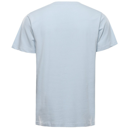 Herren-T-Shirt Alpine Pro Dorg
