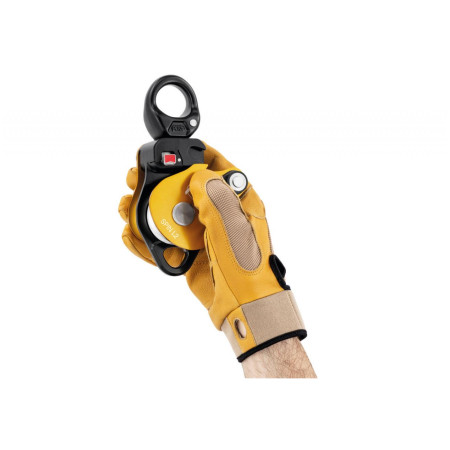 Umlenkrolle Petzl Spin L2