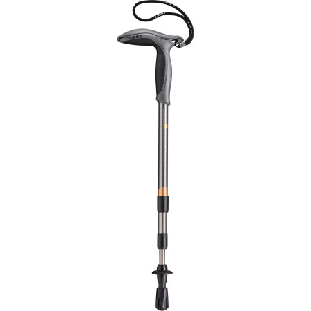 Trekkinstock Leki Super Micro 2022 silber GunmetalCopperDarkanthracite