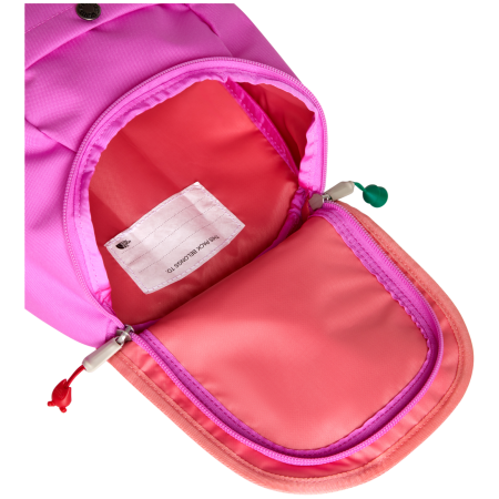 Kinderrucksack The North Face Y Mini Explorer