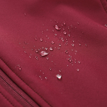 Damen-Softshellmantel Alpine Pro Ibora 2