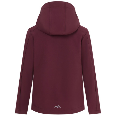 Kinder-Softshell-Jacke Regatta Haydenbury Fig