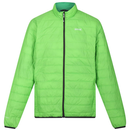 Herrenjacke Regatta Hillpack grün Jasmine Green (Field Green)