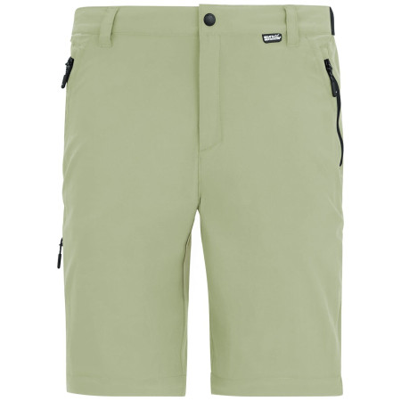 Herrenhose Regatta Anti-Insect Travel Light Z/O Trousers