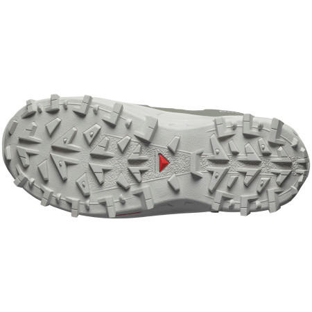 Damenschuhe Salomon Crosstrak Waterproof