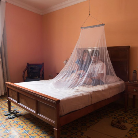 Moskitonetz Lifesystems MicroNet Mosquito Net - Double