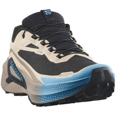 Herren Laufschuhe Salomon Genesis 2 GTX