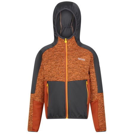Kinder-Sweatshirt Regatta Dissolver VII orange Orange Pepper/Seal Grey