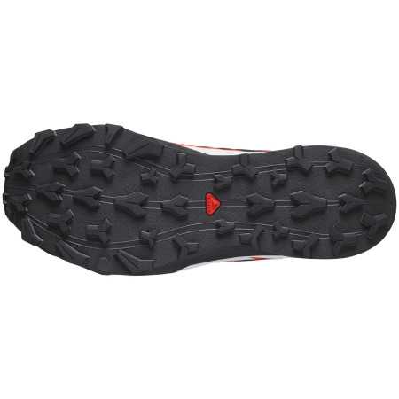 Herrenschuhe Salomon Thundercross