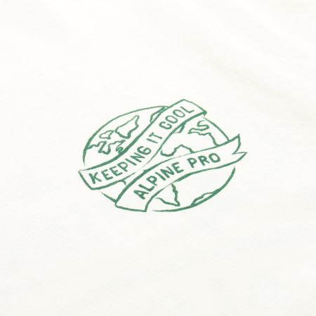 Herren-T-Shirt Alpine Pro Termes 2