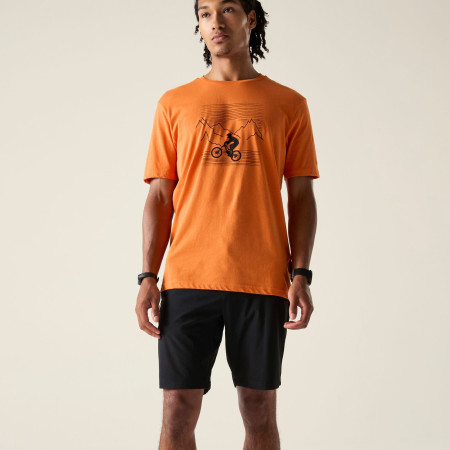 Herrenshorts Dare 2b Torrek Lite Short