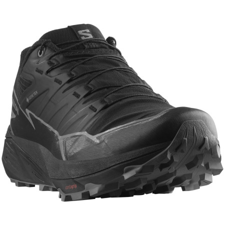 Herren Laufschuhe Salomon Thundercross Gore-Tex