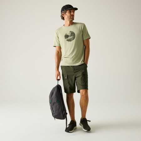 Herrenshorts Regatta Arlery Shorts