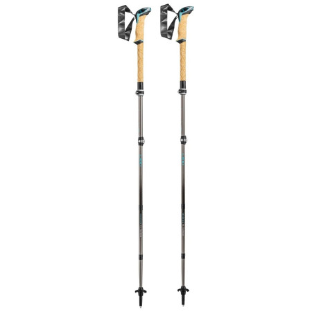 Trekkingstöcke Leki Cressida FX Carbon braun/silber brownmetallic-mint-chocolate brown metallic
