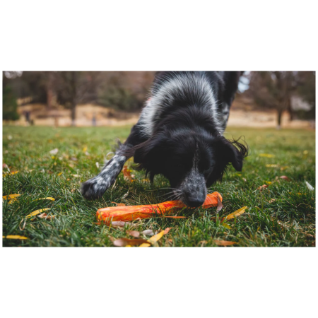 Hundespielzeug Ruffwear Gnawt-a-Stick™ Toy