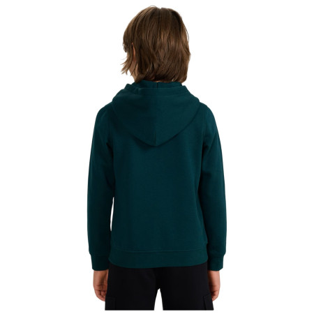 Kinder-Sweatshirt 4F Sweatshirt M1959