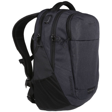 Rucksack Regatta Oakridge Air 20L dunkelgrau Ash/Black