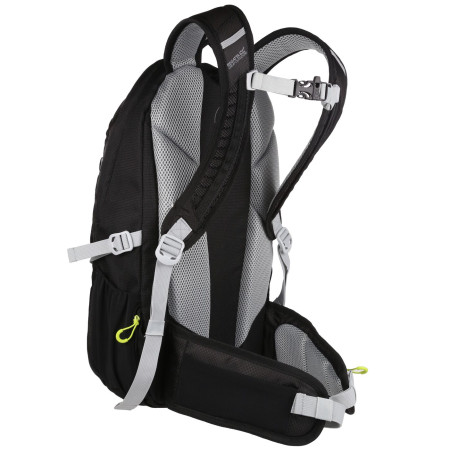 Rucksack Regatta Britedale 30L