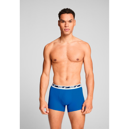 Herren-Boxershorts Puma Everyday Multi Logo Boxers 2P