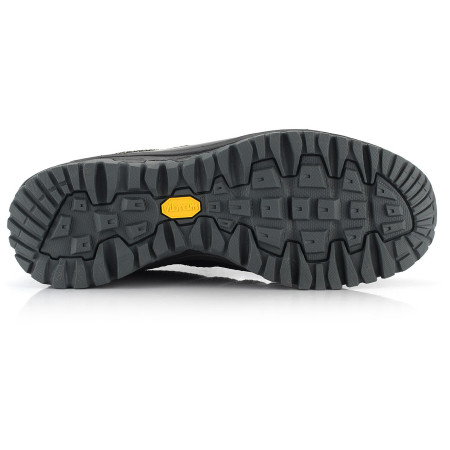 Herrenschuhe Alpine Pro Musswe