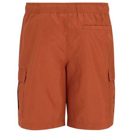 Herrenbadeanzug Regatta Blanmont Swim Short