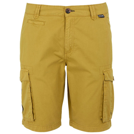 Herrenshorts Regatta Shorebay Shorts II hellgrün Mustard