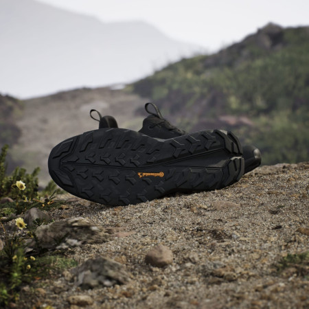 Wanderschuhe Adidas Terrex Free Hiker 2 Low Gtx