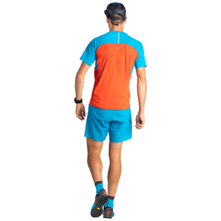 Herren Laufschuhe Dynafit Alpine