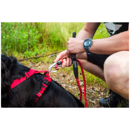 Hundeleine Mountain Paws Rope Dog Lead