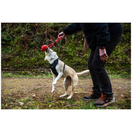 Hundespielzeug Mountain Paws Ball Chew Rope Dog Toy