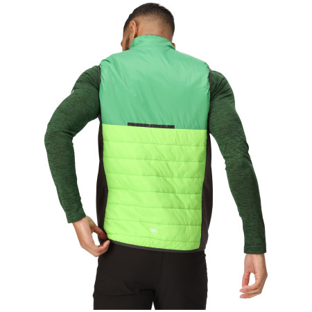 Herrenweste Regatta Halton B/W VII