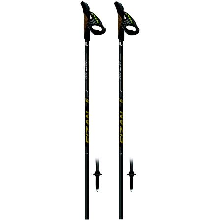 Nordic Walking Stöcke Fizan Running gold Gold