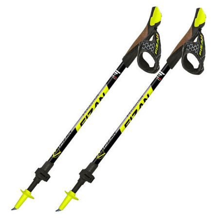 Nordic Walking Stöcke Fizan R-Evolution