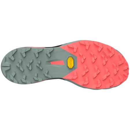 Damen Laufschuhe Dynafit Alpine Pro 2 W