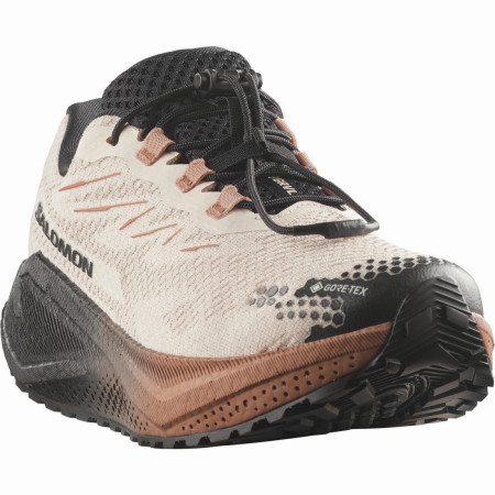 Damen Laufschuhe Salomon Aero Blaze 4 Grvl GTX W