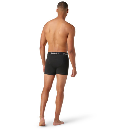 Herren-Boxershorts Smartwool M Boxer Brief Boxed