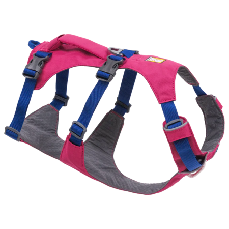 Hundegeschirr Ruffwear Flagline™ Harness rosa Alpenglow Pink