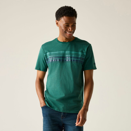 Herren-T-Shirt Regatta Rendro
