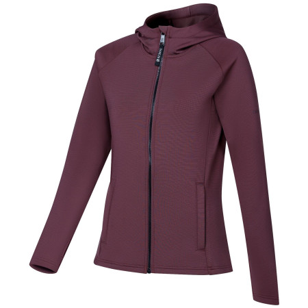 Damen-Sweatshirt Dare 2b Glacier Midlayer
